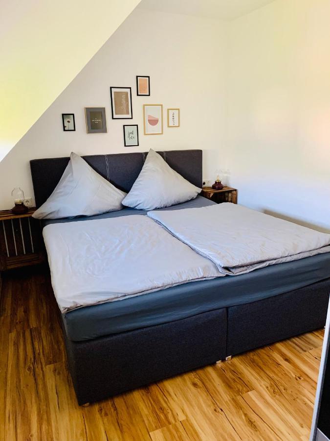 Appartement Zur Rotbuche à Zeltingen-Rachtig Extérieur photo